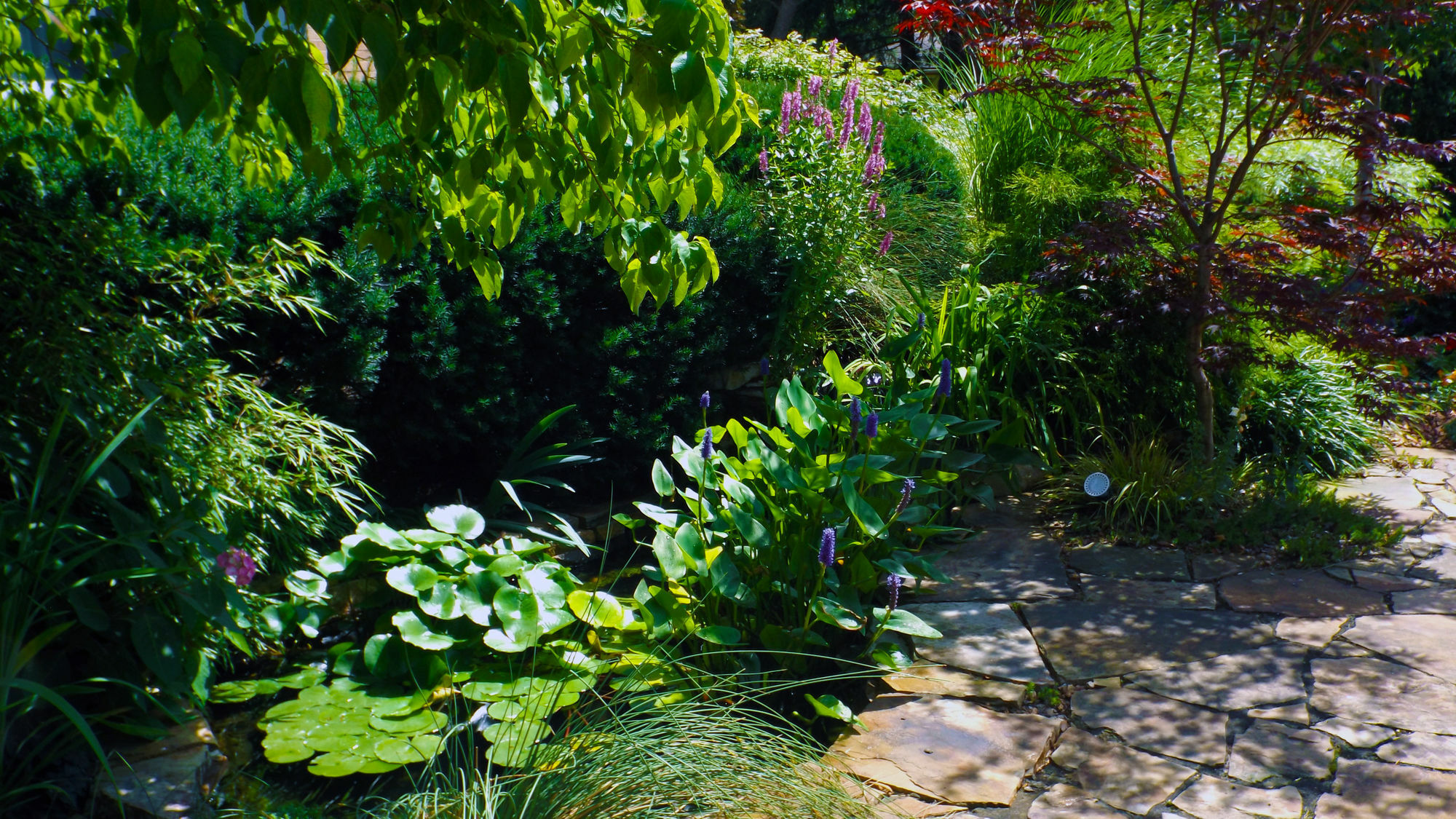 Higher Ground Hotel Independence Ngoại thất bức ảnh